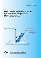 Konformation und Orientierung von synthetisierten &#xDF;-Peptiden in Membransystemen