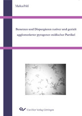 Benetzen und Dispergieren nativer und gezielt agglomerierter pyrogener oxidischer Partikel