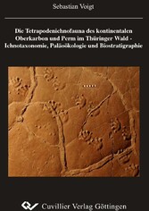 Die Tetrapodenichnofauna des kontinentalen Oberkarbon und Perm im Th&#xFC;ringer Wald - Ichnotaxonomie, Pal&#xE4;o&#xF6;kologie und Biostratigraphie