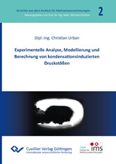 Experimentelle Analyse, Modellierung und Berechnung von kondensationsinduzierten Druckst&#xF6;&#xDF;en