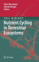 Nutrient Cycling in Terrestrial Ecosystems