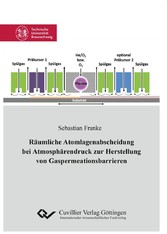 R&#xE4;umliche Atomlagenabscheidung bei Atmosph&#xE4;rendruck zur Herstellung von Gaspermeationsbarrieren