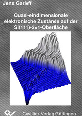 Quasi-eindimensionale elektronische Zust&#xE4;nde auf der Si(111)-2x1-Oberfl&#xE4;che