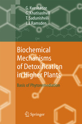 Biochemical Mechanisms of Detoxification in Higher Plants