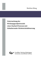 Untersuchung des Wirkungsgradpotenzials eines Oxyfuel-Prozesses mit Zirkulierender Wirbelschichtfeuerung