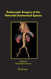 Endoscopic Surgery of the Potential Anatomical Spaces