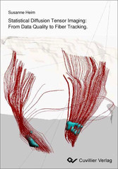 Statistical Diffusion Tensor Imaging: From Data Quality to Fiber Tracking