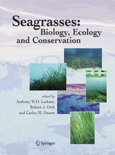 Seagrasses: Biology, Ecology and Conservation