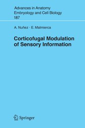 Corticofugal Modulation of Sensory Information