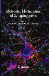 Molecular Mechanisms of Synaptogenesis