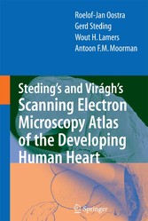 Steding's and Virágh's Scanning Electron Microscopy Atlas of the Developing Human Heart