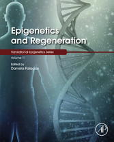 Epigenetics and Regeneration