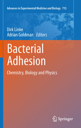 Bacterial Adhesion