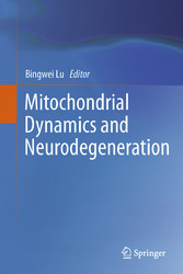 Mitochondrial Dynamics and Neurodegeneration