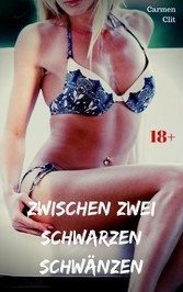 Zwischen zwei schwarzen Schwänzen