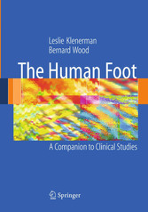 The Human Foot