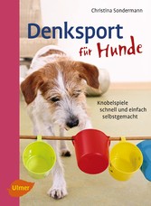 Denksport für Hunde