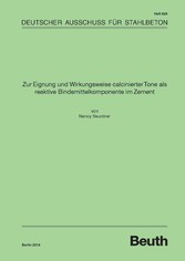 Zur Eignung und Wirkungsweise calcinierter Tone als reaktive Bindemittelkomponente im Zement