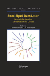 Smad Signal Transduction