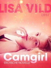 Camgirl: Erotische Novelle