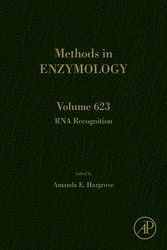 RNA Recognition