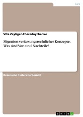 Migration verfassungsrechtlicher Konzepte. Was sind Vor- und Nachteile?