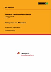 Management von IT Projekten