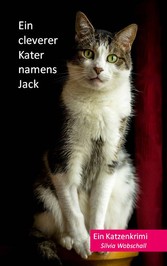 Ein cleverer Kater namens Jack