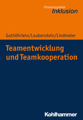 Teamentwicklung und Teamkooperation