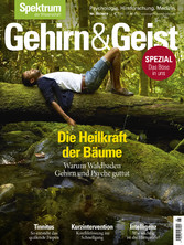 Gehirn&Geist 8/2019 - Die Heilkraft der Bäume