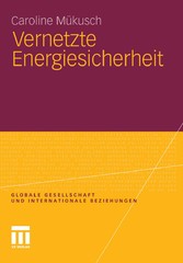 Vernetzte Energiesicherheit