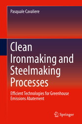 Clean Ironmaking and Steelmaking Processes