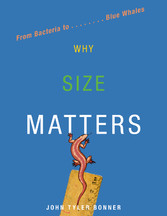 Why Size Matters