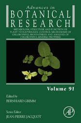 Metabolism, Structure and Function of Plant Tetrapyrroles: Control Mechanisms of Chlorophyll Biosynthesis and Analysis of Chlorophyll-Binding Proteins