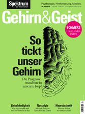 Gehirn&Geist 9/2019 -So tickt unser Gehirn