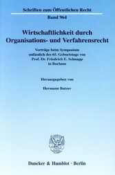 Wirtschaftlichkeit durch Organisations- und Verfahrensrecht.