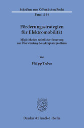 Förderungsstrategien für Elektromobilität.