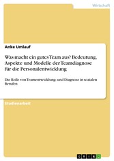 Was macht ein gutes Team aus? Bedeutung, Aspekte und Modelle der Teamdiagnose für die Personalentwicklung