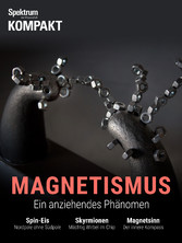 Spektrum Kompakt - Magnetismus