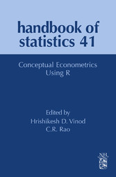 Conceptual Econometrics Using R