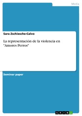 La representación de la violencia en 'Amores Perros'