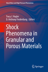 Shock Phenomena in Granular and Porous Materials