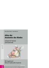 Atlas der Anatomie des Rindes