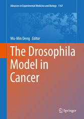 The Drosophila Model in Cancer