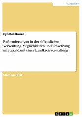 Reformierungen in der öffentlichen Verwaltung. Möglichkeiten und Umsetzung im Jugendamt einer Landkreisverwaltung