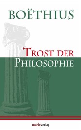 Trost der Philosophie