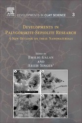 Developments in Palygorskite-Sepiolite Research