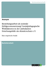 Beziehungsarbeit als zentrale Erfolgsvoraussetzung? Sozialpädagogische Wirkfaktoren in der ambulanten Erziehungshilfe des Kinderschutz e.V.