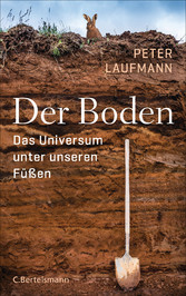 Der Boden