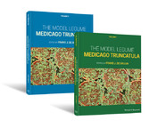 The Model Legume Medicago truncatula